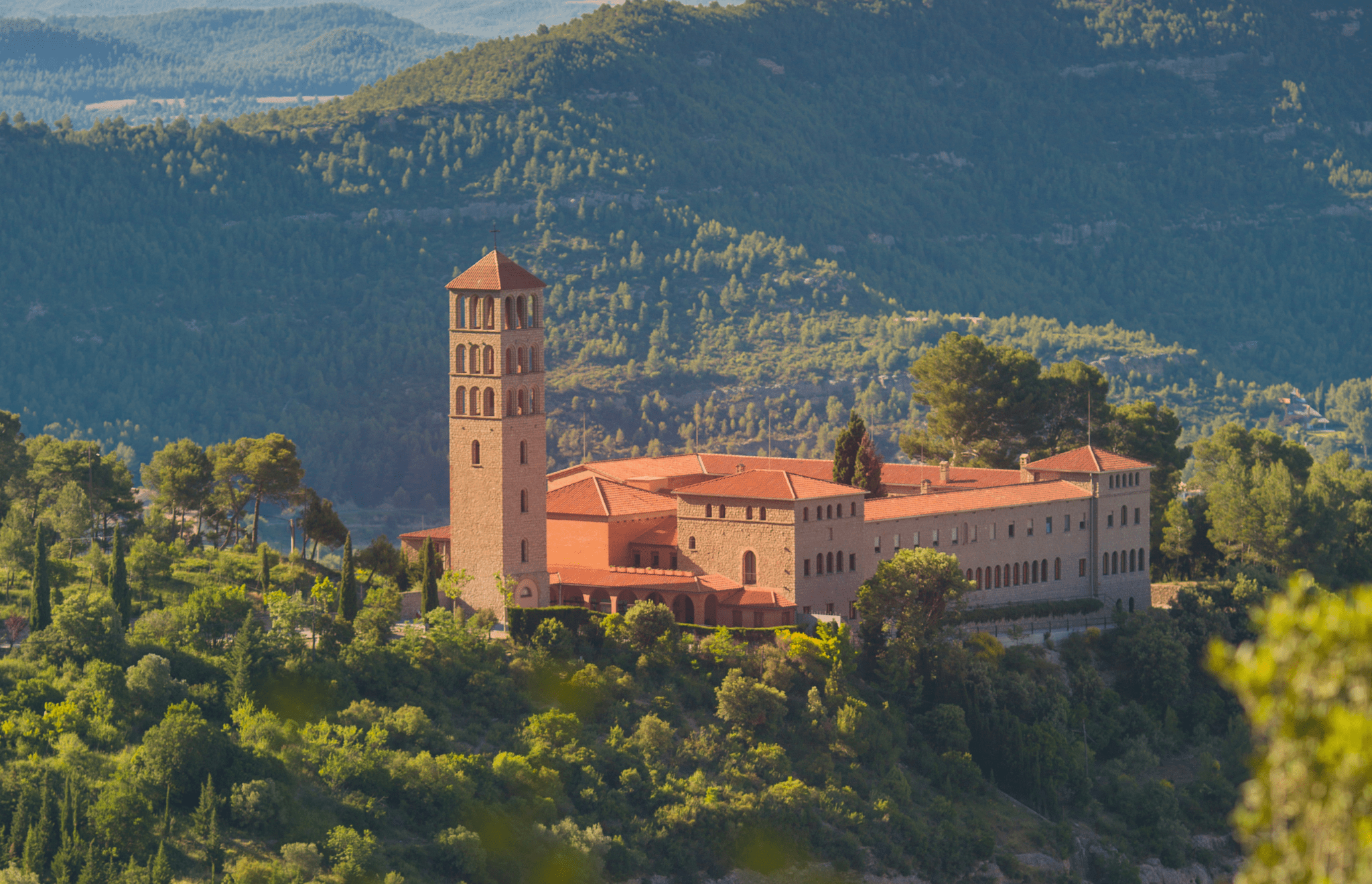 Monestir de Sant Benet de Montserrat | Donatiu per Bizum